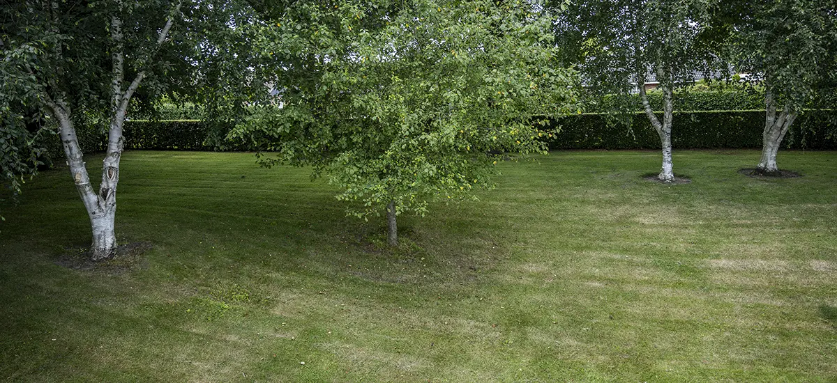 13-1200x550 (2).webp