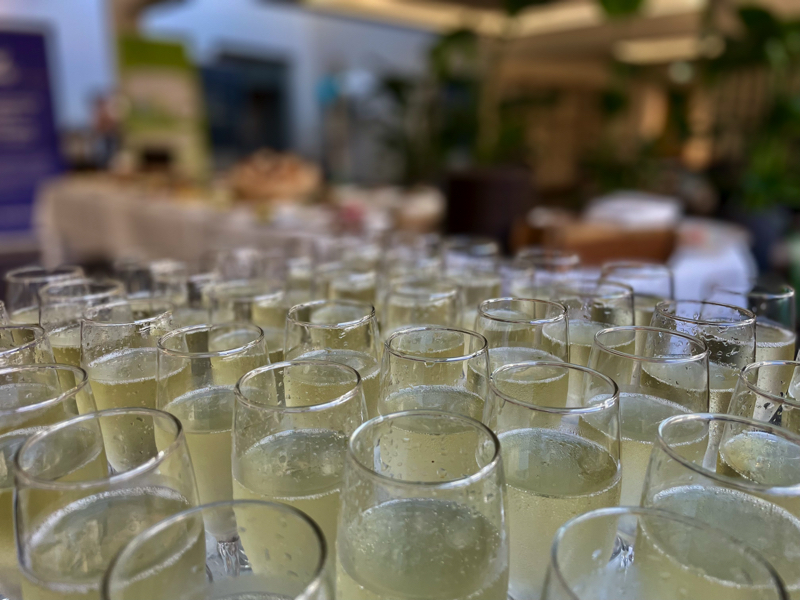 2 - D15 konference champagne .jpg