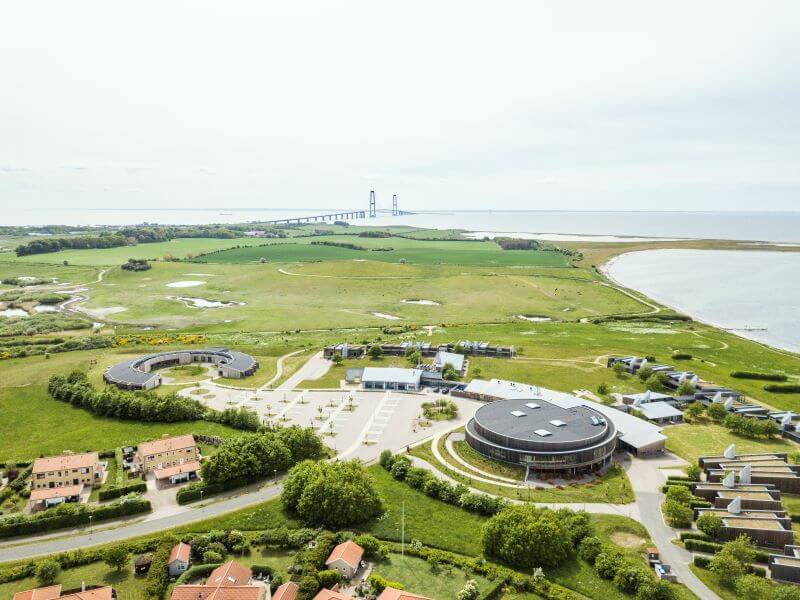 DJI_0010 (1) (1).jpg