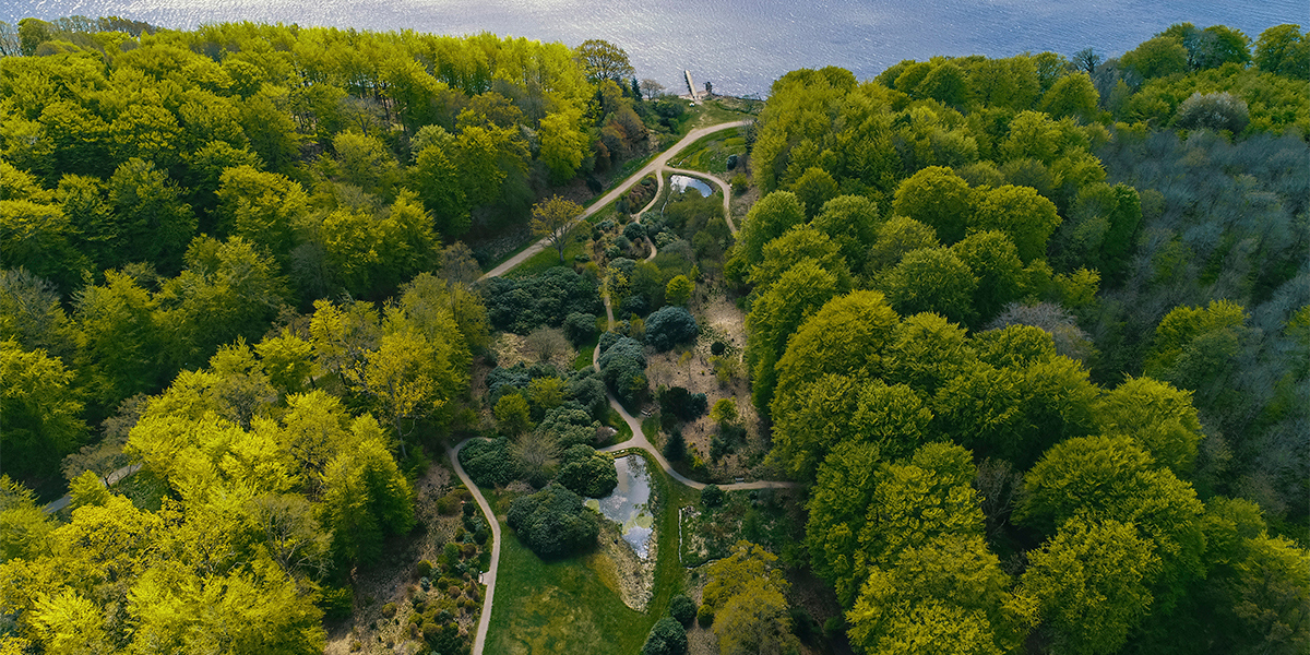 Hotel-Vejlefjord-park-stier-kurveje-og-fjord-forår-.jpg