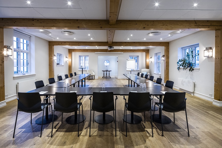 Stella Maris - Konference_Direktøren.jpg