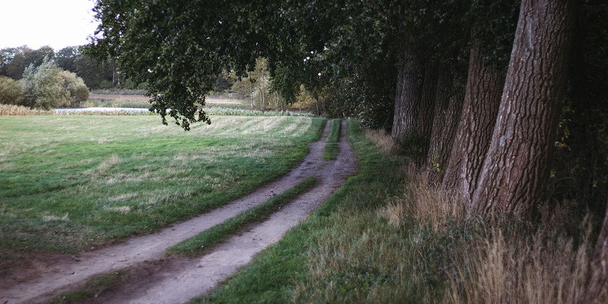 Walk and talk.jpg
