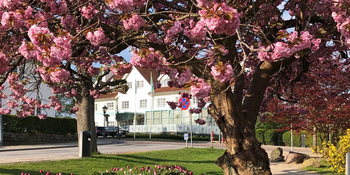 facade blomster.jpg