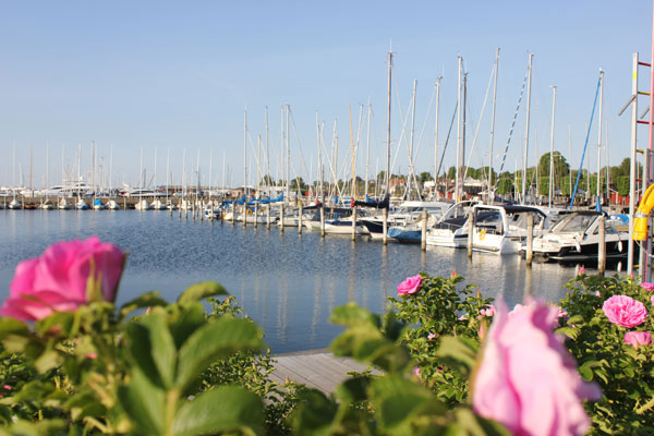 harbor.jpg