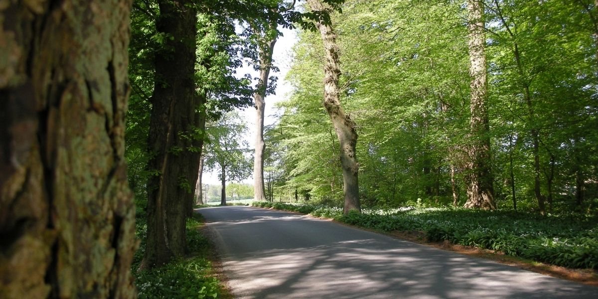 Naturen venter lige udenfor døren.jpg
