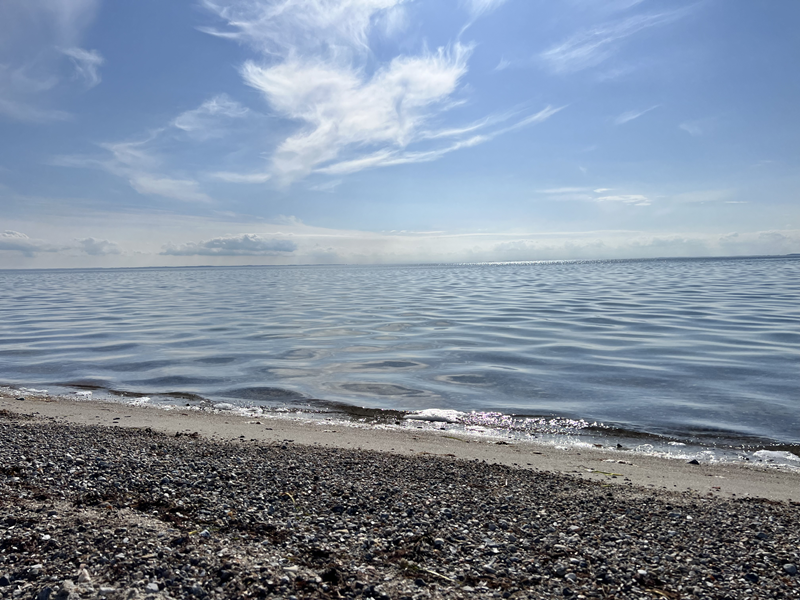 Agernæs Strand.png