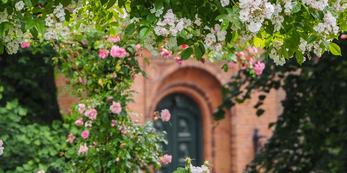 Blomster_1200x600.jpg
